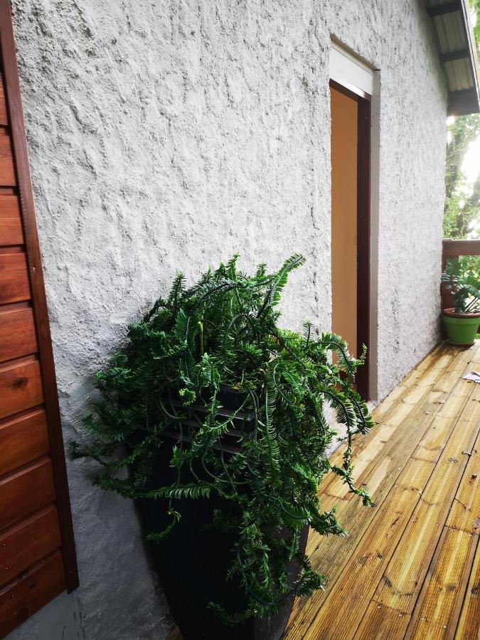 Bungalow Maelie Trinité  Extérieur photo